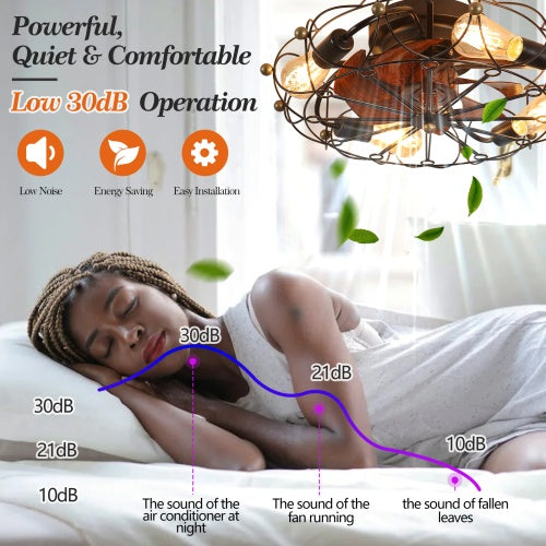 Low Profile Cage Ceiling Fan With Light Remote Control, Built-in Modern Industrial Ceiling Fan Unavailable Platforms- Temu
